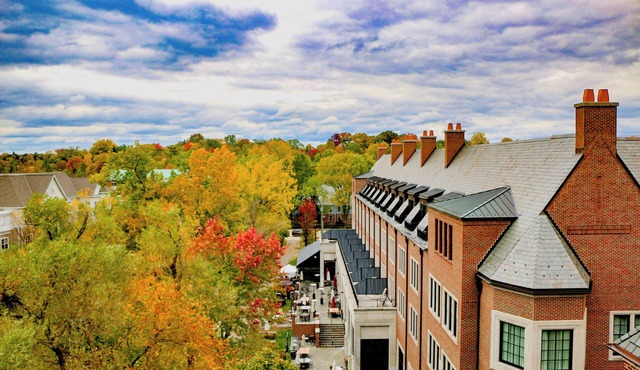 Pet-friendly Accommodation with a Blend of Modern Comfort and Old-World Charm