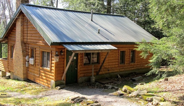 Pet-Friendly Cabin for 6 Near Cook Forest, Ideal for Glamping in Pennsylvania