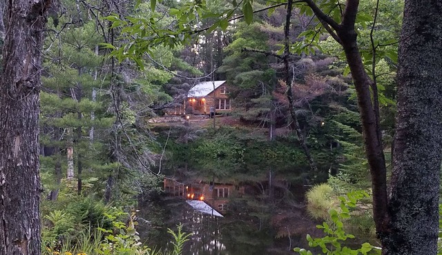 PET-FRIENDLY - Twilight Cabin a Unique Waterfront Log Cabin