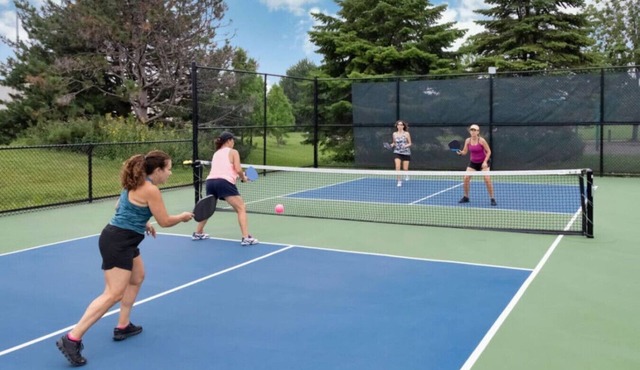 Pickleball Vacation In Dallas! Private 30x60 Court
