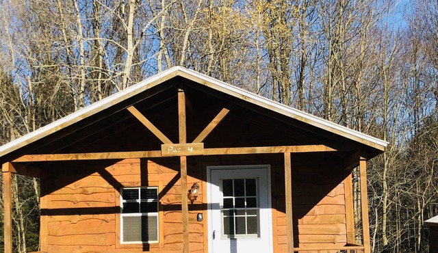 Private cabin on acreage Bemus point Chautauqua New York