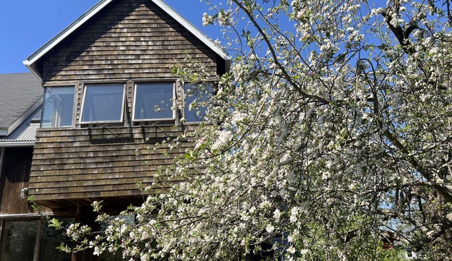 Private Contemporary Artist's Tree House on two acres with perennial gardens.