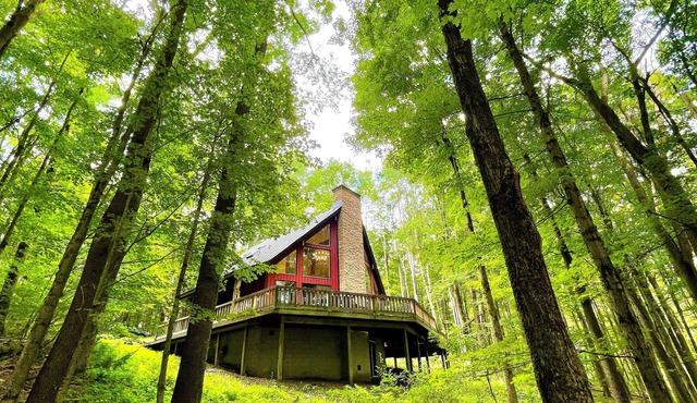 ★ Private Hideaway w/Hot Tub & Wood Fireplace- Stylish & Serene - Hike from Cabin! ★