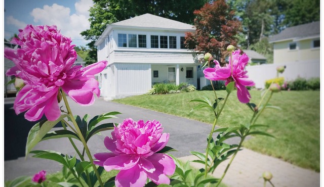 Quaint Carriage House Studio Steps from Perkins Cove