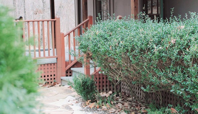Quaint Secluded 3BR/2BA Cottage w/Fire Pit