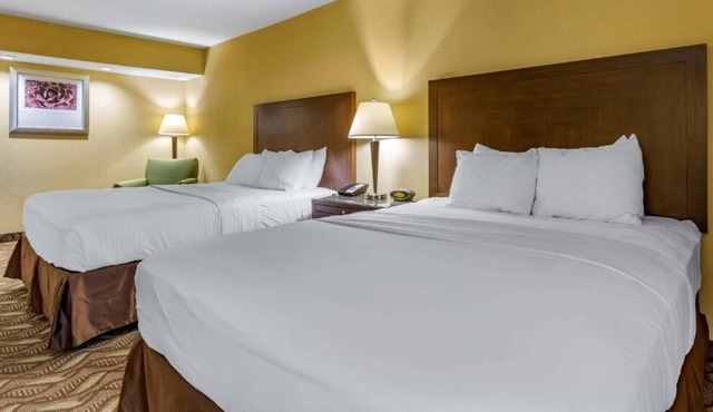 Rare Find! 4 Relaxing Units, Free Breakfast, Free Parking, Pet-friendly Property