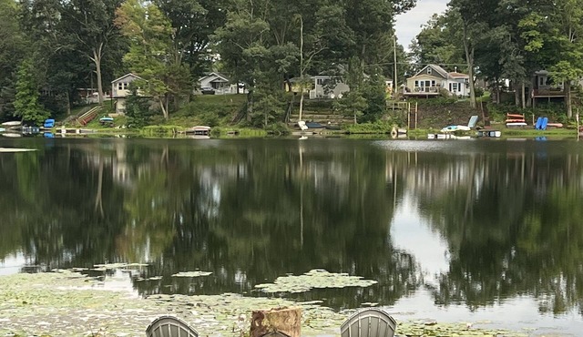 Reflections of Tranquility- Lakefront Splendor