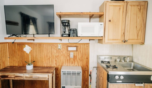Renovated Mountain Studio Cabin
