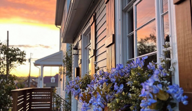 Retreat in Historic Downtown Leesburg - Walkable to Everything!