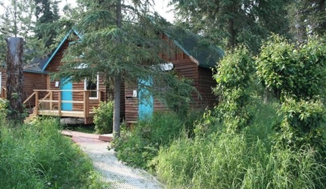 River Front Cabin directly on the Kenai River