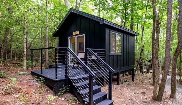 Romantic Retreat: Pet-Friendly Luxury Cabin in Enchanting Transylvania County