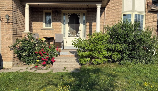 Room in Brampton Downtown, 15 minutes from Toronto International Airport