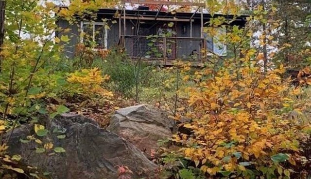 Rustic Bunky on Picturesque Lake in Maple Leaf