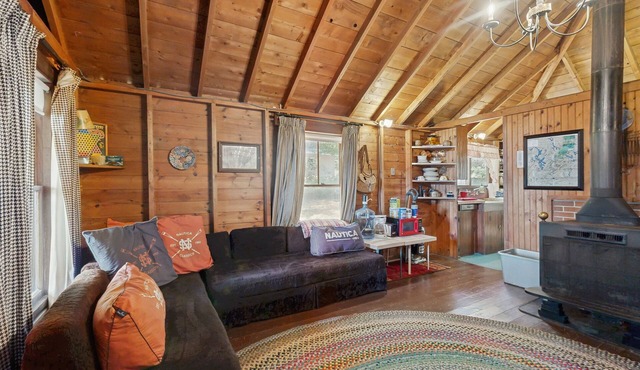 Rustic, dog-friendly lakefront cabin w/gorgeous lake views and private W/D