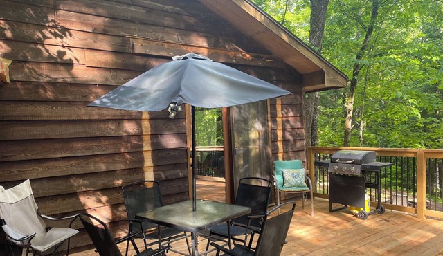 Rustic Private Cabin In Trent Lakes