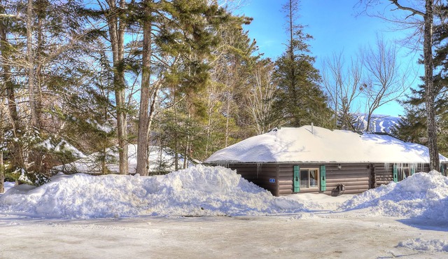 SBLL 04 - Conifer - Adorable studio cabin at Saddleback Lake