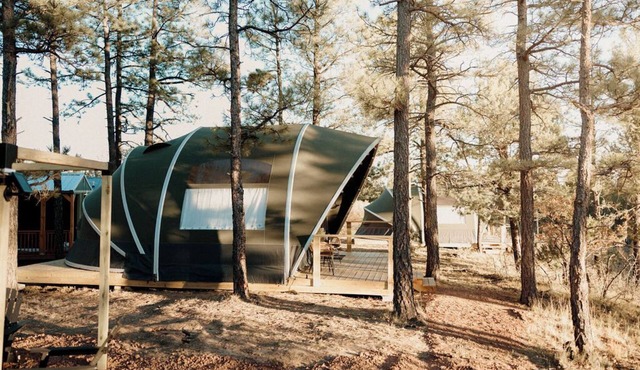 Scenic Mountain Yurt with Queen + Bunks