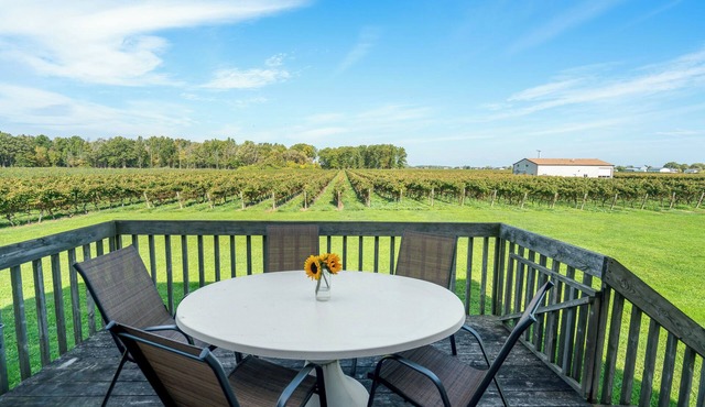 Scenic Niagara Vineyard Farm Home for up to 9ppl