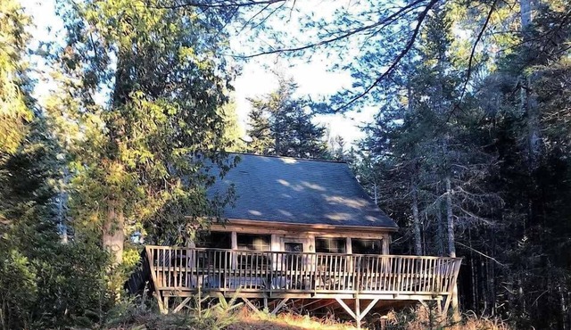 Seal Rock - crafted cabin on the water near Acadia and Bar Harbor