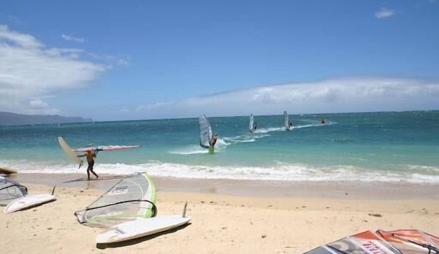 Seaside Gem! 3 Garden View Units, Outdoor Pool, Steps to Ho’aloha Park Beach!