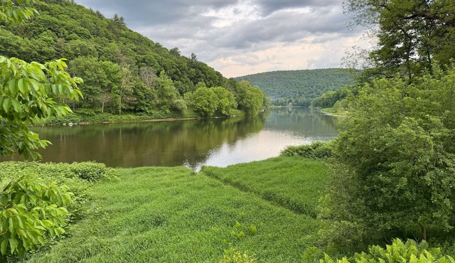 Secluded and Spacious Riverfront Cabin sleeps 7