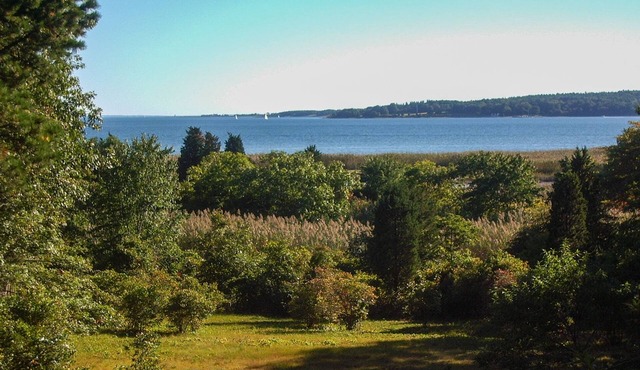 Secluded Bayview Retreat: Your Private Haven in Conservation Forest