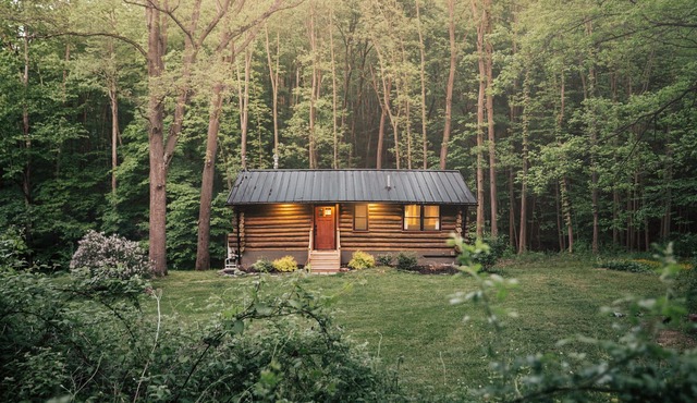 Secluded cabin New saltwater hot tub Stream