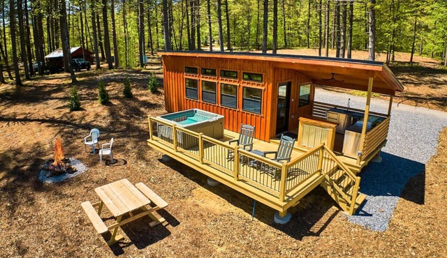 Secluded Modern Cabin Surrounded by Trees