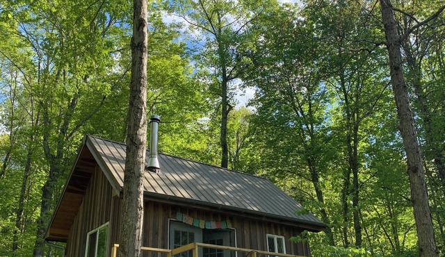 Secluded Tiny Cabin on 7 Private Wooded Acres - Retreat, Disconnect & Stargaze