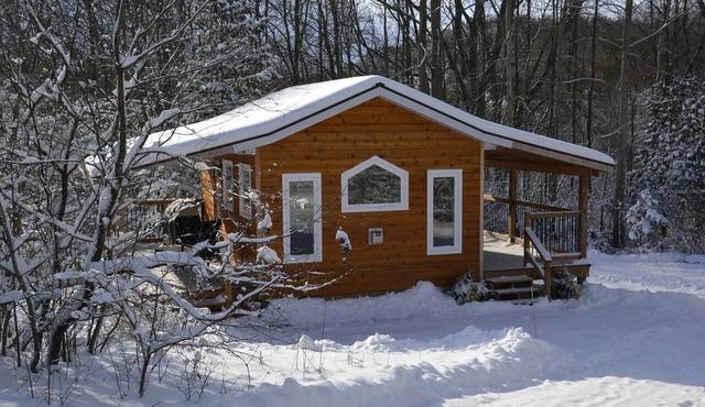Serene Tiny Cabin Perfect for Relaxing Couples Getaway in Central Huron, Ontario in Central Huron