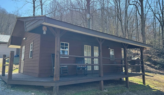 SMALL RUSTIC cabin, AC/heat, WiFi, dog friendly in Sevierville