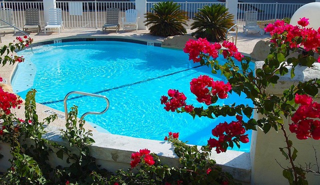 Sol Searcher by Silver Sands Vacation Rentals