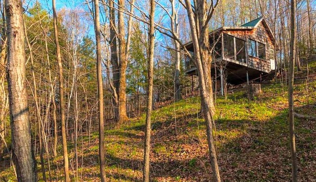 Solar-Powered Tree House in the Canadian Woods near Toronto, Ontario