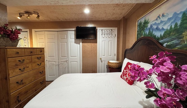 Spacious Quaint Central Studio