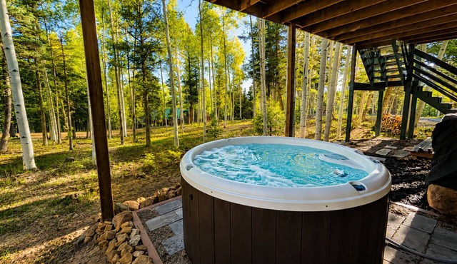Spring-Break, Family Mountain Cabin! Near Angel Fire Ski Resort, Pet Friendly