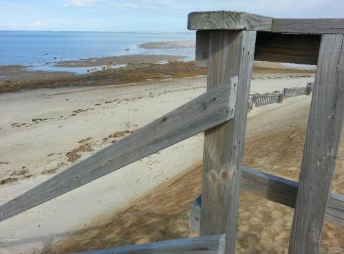 Starlight Lodge Cape Cod in Dennis