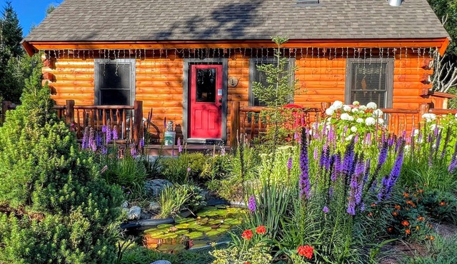 Stunning Family Compound for Events and Large Groups in Bretton Woods - Dog Friendly!