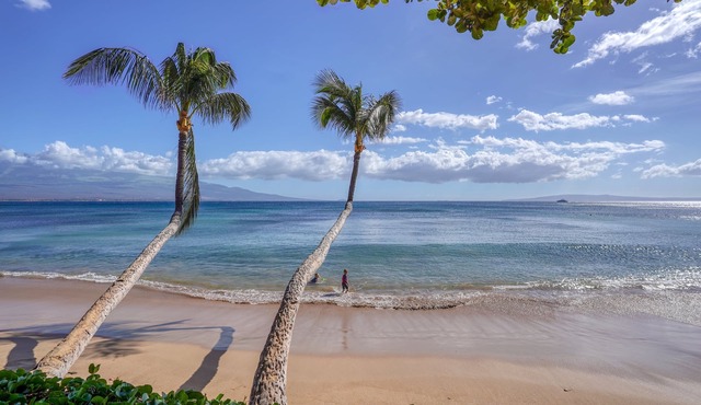 Suite Maui Paradise Condo