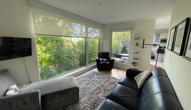 Sunny Modern Oasis in Portland’s Trendy East End