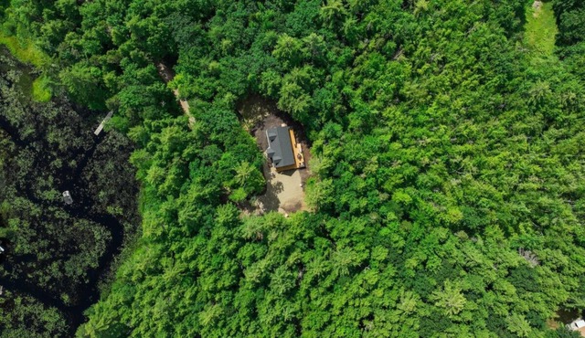 The Conway Cabin | Spacious, Peaceful, Lake Access