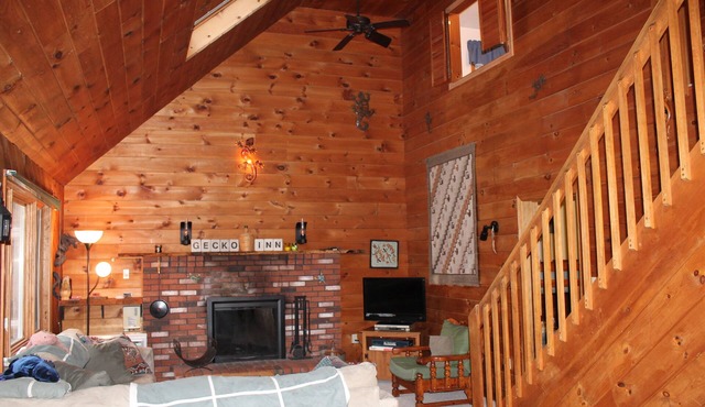 The Gecko Inn - Shopping, Santas Village, Skiing, Hot Tub, hikes, families, pets