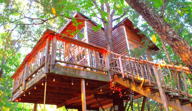 The Hummingbird Treehouse