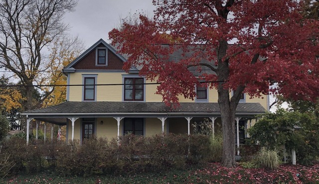 The Painted Lady