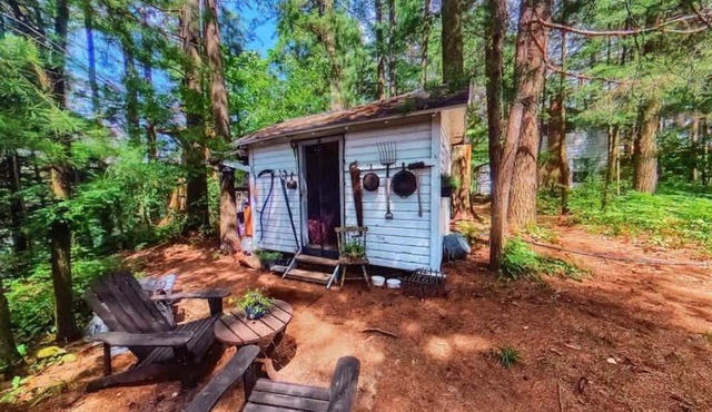 The Stabbin Cabin Grant Island w/Boat, HotTub, Pet