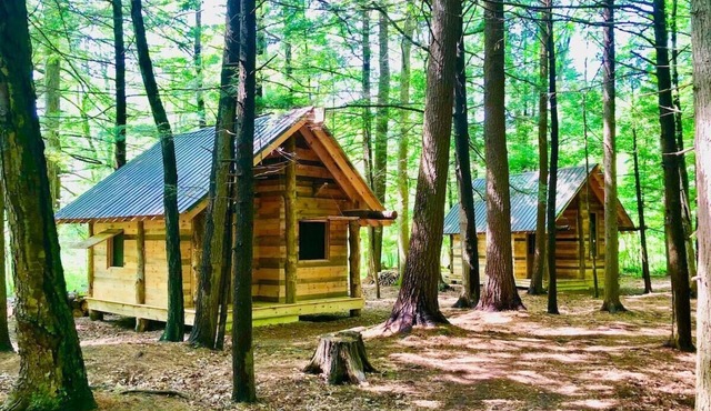 TimberTown Cabin #2 at June Farms, GLAMPING at it's finest!
