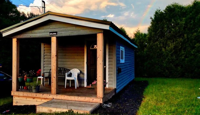 Tiny Cabin, pet-friendly Mins from Cook Forest & Allegheny National Forest!