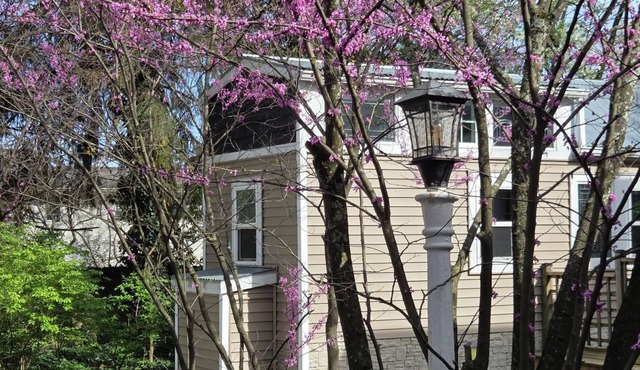 Tiny House Bungalow