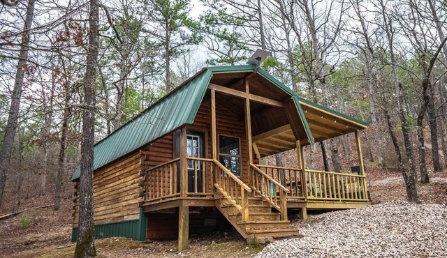 Tiny Piney Big Adventure!