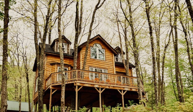 Treehouse in Maine woods- The Grand Oak
