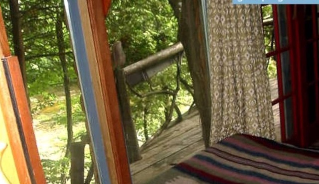 Treehouse perched on the water’s edge in Lanark
